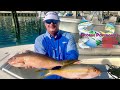 2020 SEASON - Episode 7 CAPE ELEUTHERA, BAHAMAS - MONSTER YELLOWTAILS! 4k