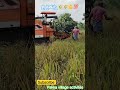 #farmer🌾🌾💪 #agriculture #telanganafarming #paddy #villagelife #food #lovefarming #village #..#..#