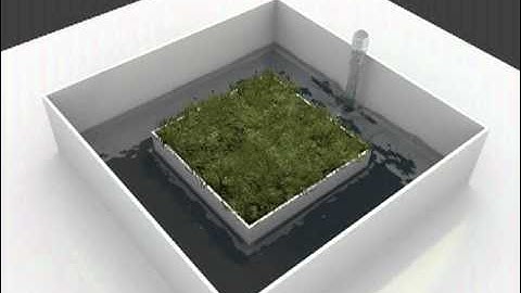 Blender Fluid Simulation