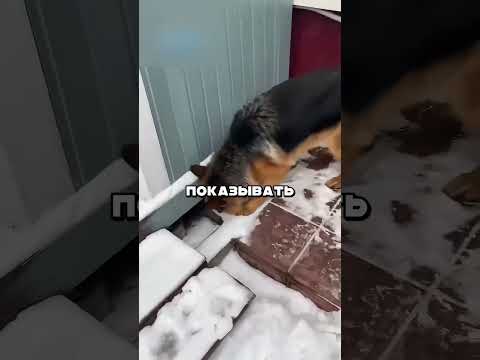 ТОЛЬКО ТАК И