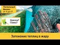 Затенение теплиц. Профессиональные фермерские методы притенения