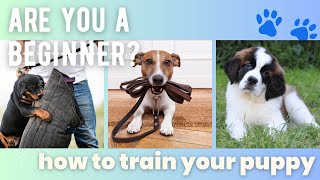 How to Train Your Puppy for BEGINNERS by Dog Training Advice Tips 214 views 2 months ago 5 minutes, 35 seconds