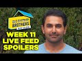Big Brother Brothers: BB22 All-Stars Week 11 Live Feed Spoilers 🌴🔥