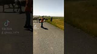 Çoban İsa Bu Sana Gelsin