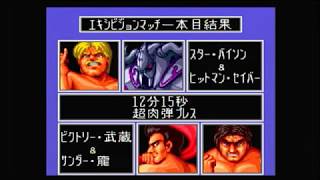 [ﾚﾄﾛﾌﾘｰｸ PCE] ファイヤープロレスリング3 Legend Bout　バイソン＆セイバー　レトロゲーム