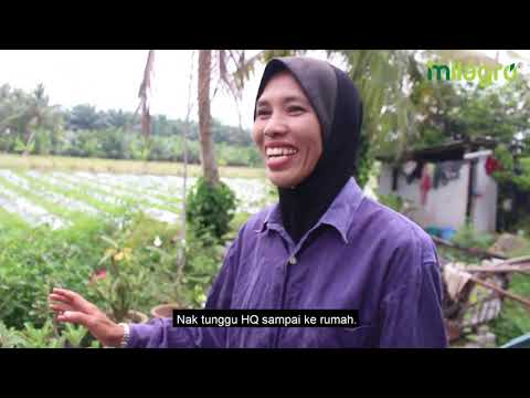 Video: Adakah pokok sembahyang berbunga?