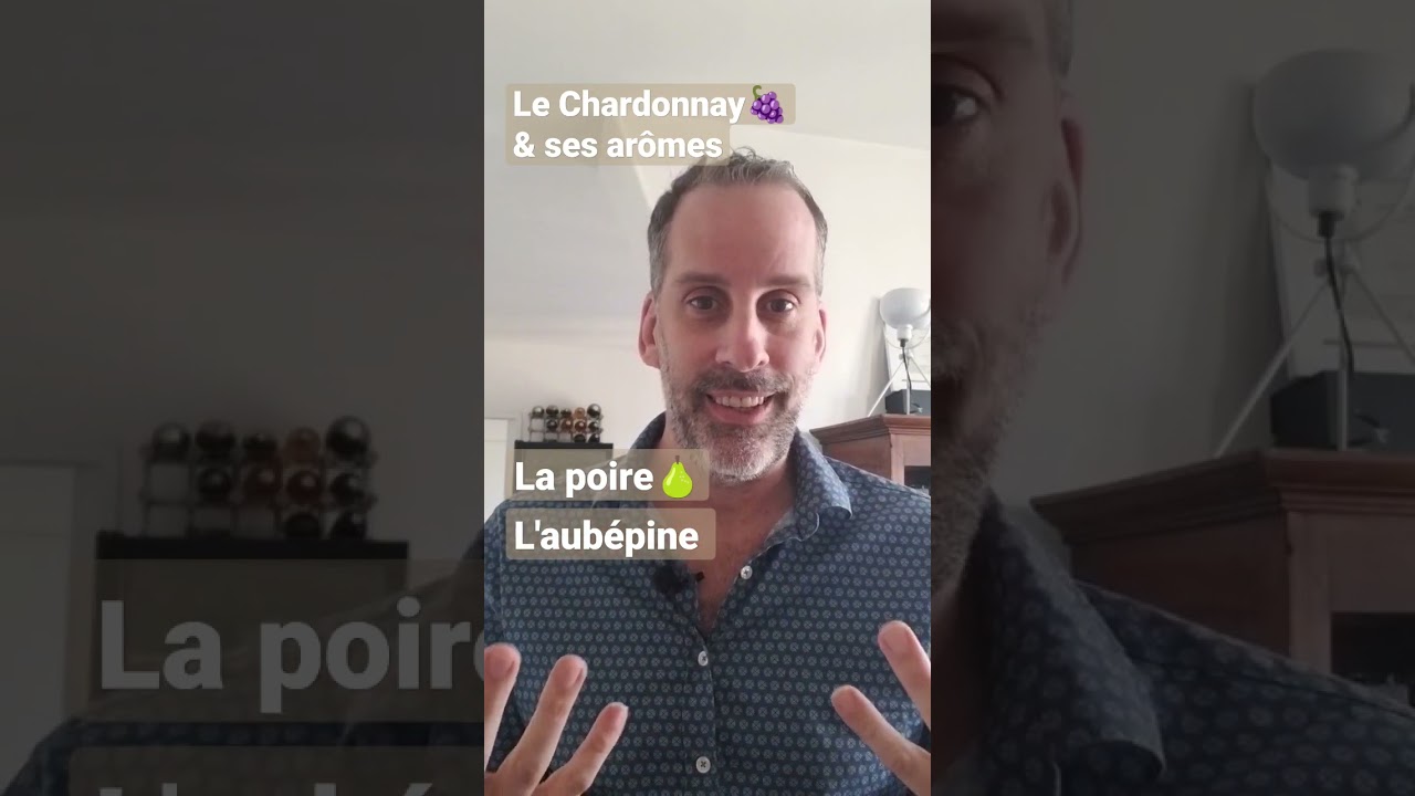 Le cépage Chardonnay & ses arômes 🍇 Apprendre et Comprendre le Vin
