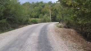 Esen Köy Pitbull Attack