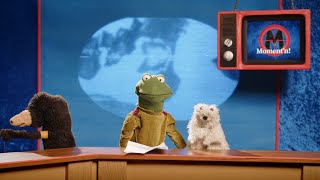 Momentn Die Show Mit Dem Maulwurfn. Gut Erklärt Seit 2022. Folge 1 Bürgerinnenversammlung