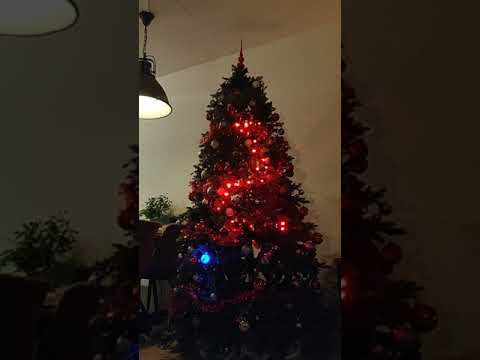 Playing snake in the Christmas tree. Created with Raspberry Pi and WS2811 leds