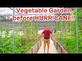 Ep 6 hurricane nicole approaching will our vegetable garden survive
