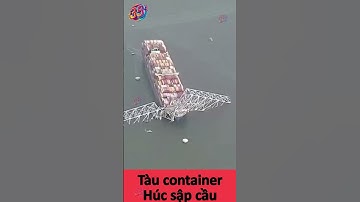 Tại Sao Tàu Container Lại Húc Sập Cầu Ở Mỹ ?