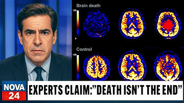 Quantum Physics Just CALCULATED Death Is Only an Illusion… And the World Is Speechless!