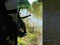 Why Pond Fishing is the Perfect Escape from Reality