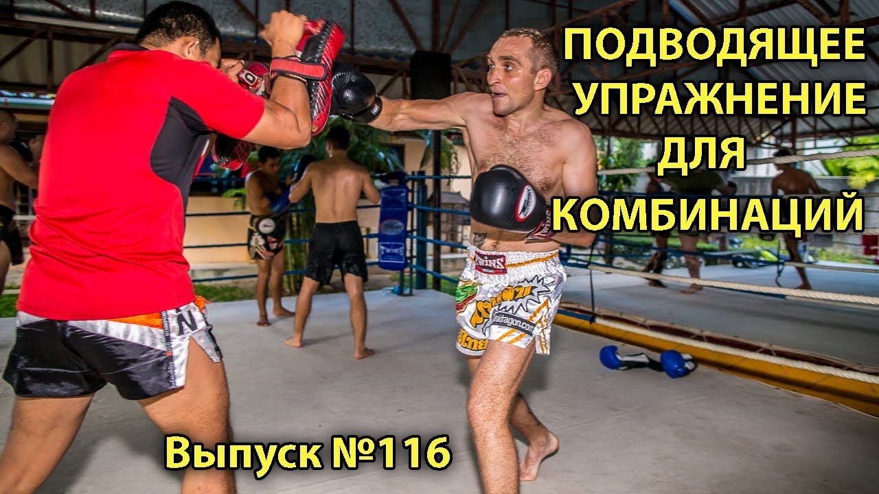 Androx�Q12 ����������: ����.
