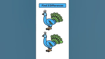 Spot 3 Differences #1109
