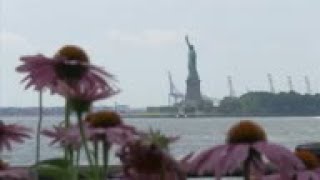 Statue of Liberty opens as NYC hits phase 4