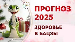 :  2025:       