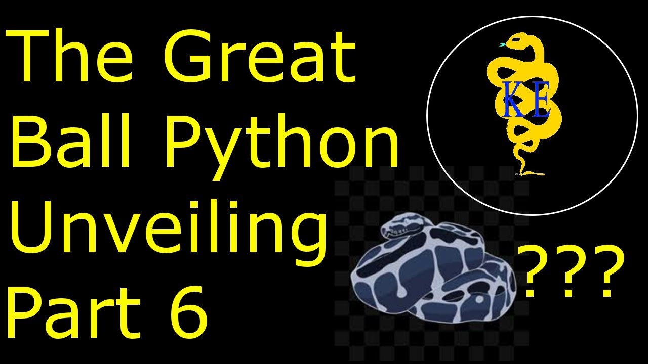 snake oil The Great Ball Python Unveiling - Pt 6