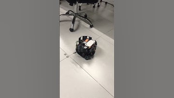Robot omni 3 bánh đi lạc