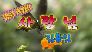 #사랑님 #김용임 #색소폰연주 #트로트   #제니쿠퍼 #서명남 #sunnysaxophone