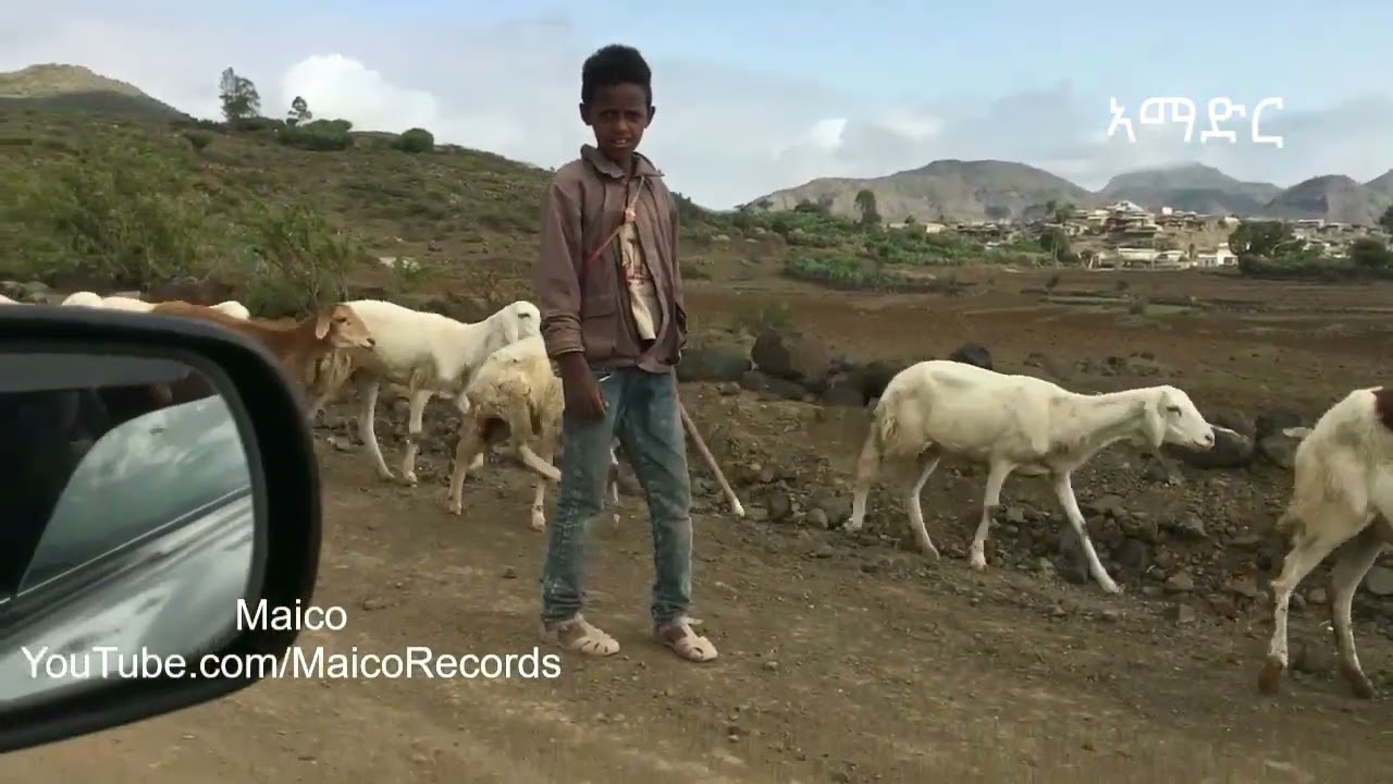 Посещение Нижнего Шмангуса-Амадера-Барка-Бадме-Неизведанная Одиссея Эритреи