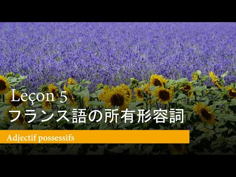 【Leçon 5】フランス語の所有形容詞