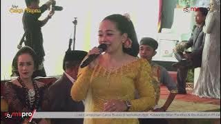 Wengis nehhh! Gedok - Wengis jok Ojo Gelo | Aning | Cakra Buana Pacitan