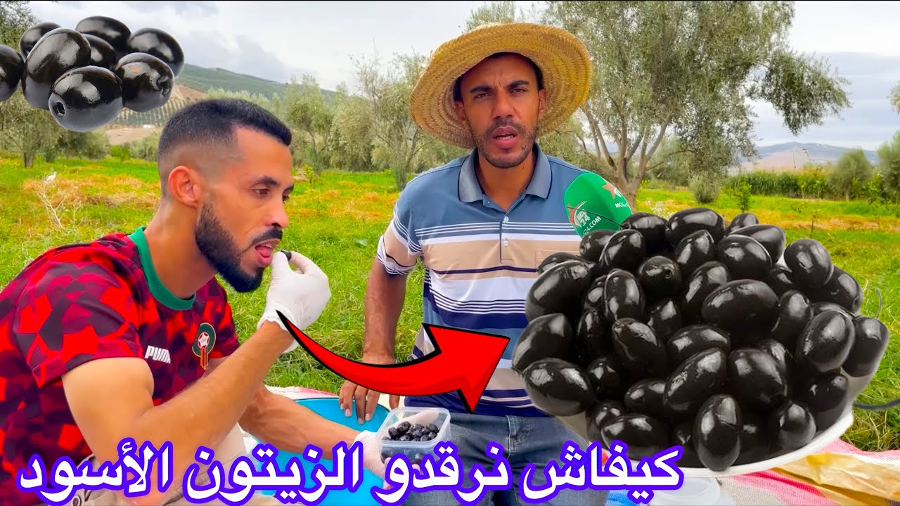 🛑كفاش نرقدو الزيتون الأسود✅