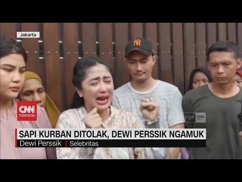 Sapi Kurban Ditolak, Dewi Perssik Ngamuk