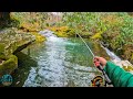 One of the best creeks to trout fish fly fishing for rainbow and brook trout