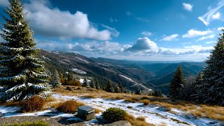 A Journey into the Snowy Forest – Through My Mother’s Eyes