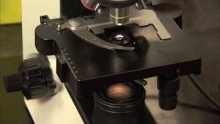The Michener Institute - Heroes Campaign: Diagnostic Cytotechnology Part 3