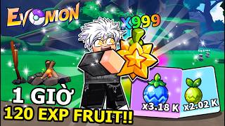 I DISCOVERED AN AWESOME TRICK TO FARM 120 EXP FRUIT IN 1 HOUR IN EVOMON!!! screenshot 5