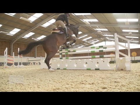 HORSE JUMPING SHOW: Cavalos de Salto em COQUINHOS