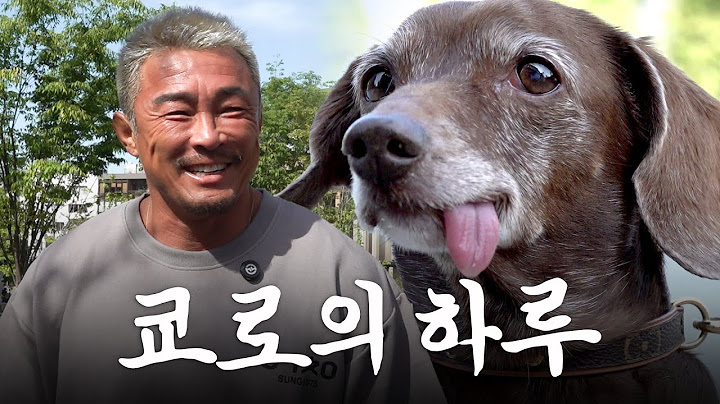 스타견 쿄로와 매니저 추성훈의 하루 (ft.쿄로 가족 총출동)