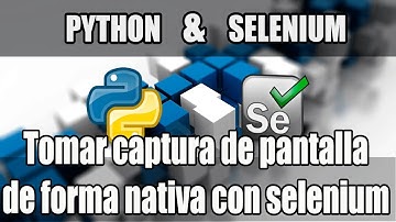 Cap #28 | Curso Python con Selenium | Screenshot Nativo