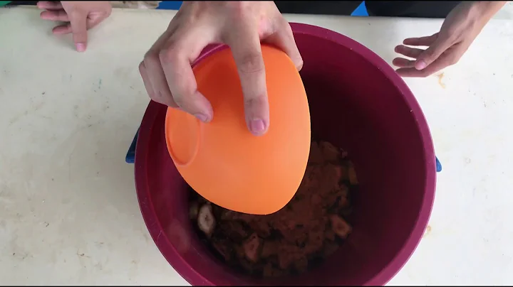 SIMPLE PROCESS OF MAKING ORGANIC FERTILIZER/FERMENTED FRUIT JUICE (FFJ)