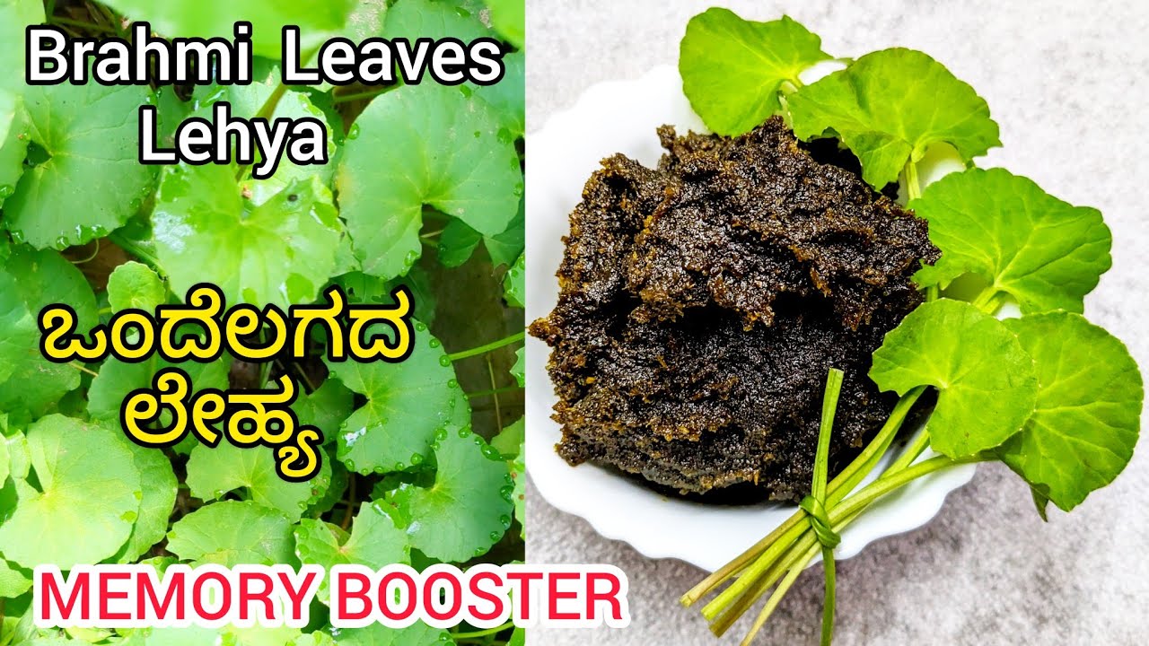 ಮಕ್ಕಳಲ್ಲಿ ಜ್ಞಾಪಕ ಶಕ್ತಿಯನ್ನು ಹೆಚ್ಚಿಸುವ ಬ್ರಾಹ್ಮೀ ಲೇಹ್ಯ | Memory Booster ...