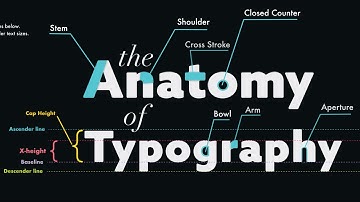 Master Typography: The Anatomy of Type Every Designer Must Know