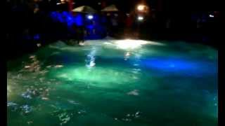 Daniel Martin - Double Backflip - Kokomos Poolside