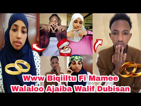 Ww Biqiiltu Fi Mamee Walaloo Ajaiba Waalif Dubisani Wal Bochisani Live Irraati Biqiiltu Si Jaladha Ww Biqiiltu Fi Mamee Walaloo Ajaiba Waalif Dubisani Wal Bochisani Live Irraati Biqiiltu Si Jaladha