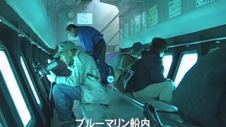 竹ヶ島海中公園＆ブルーマリン ／徳島いきいきテレビ