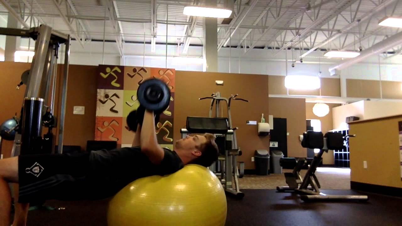 Dumbbell bench press on stability ball YouTube