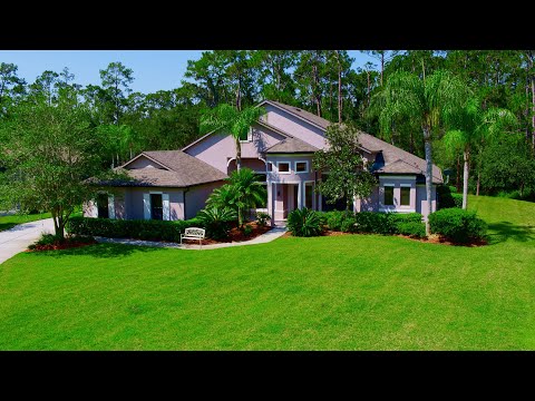 13904 Bramble Bush Court, Orlando, FL home video tour