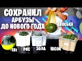 АРБУЗ на НОВЫЙ ГОД 🍉🎄😋 КАК СОХРАНИТЬ проверил 10 СПОСОБОВ