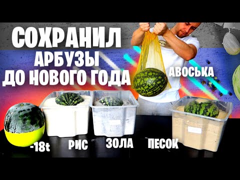 Как хранить арбузы в домашних условиях зимой