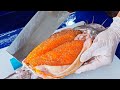 Unbelievable！Giant Catfish Eggs, Catfish Egg Soup / 驚人的！ 巨大鯰魚蛋, 鯰魚蛋湯/Bangkok Seafood/Aoywaan