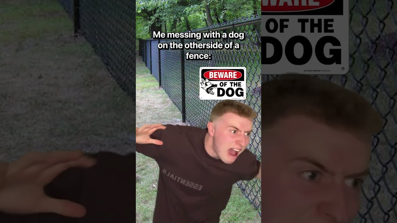 When You Mess With A Dog Shorts