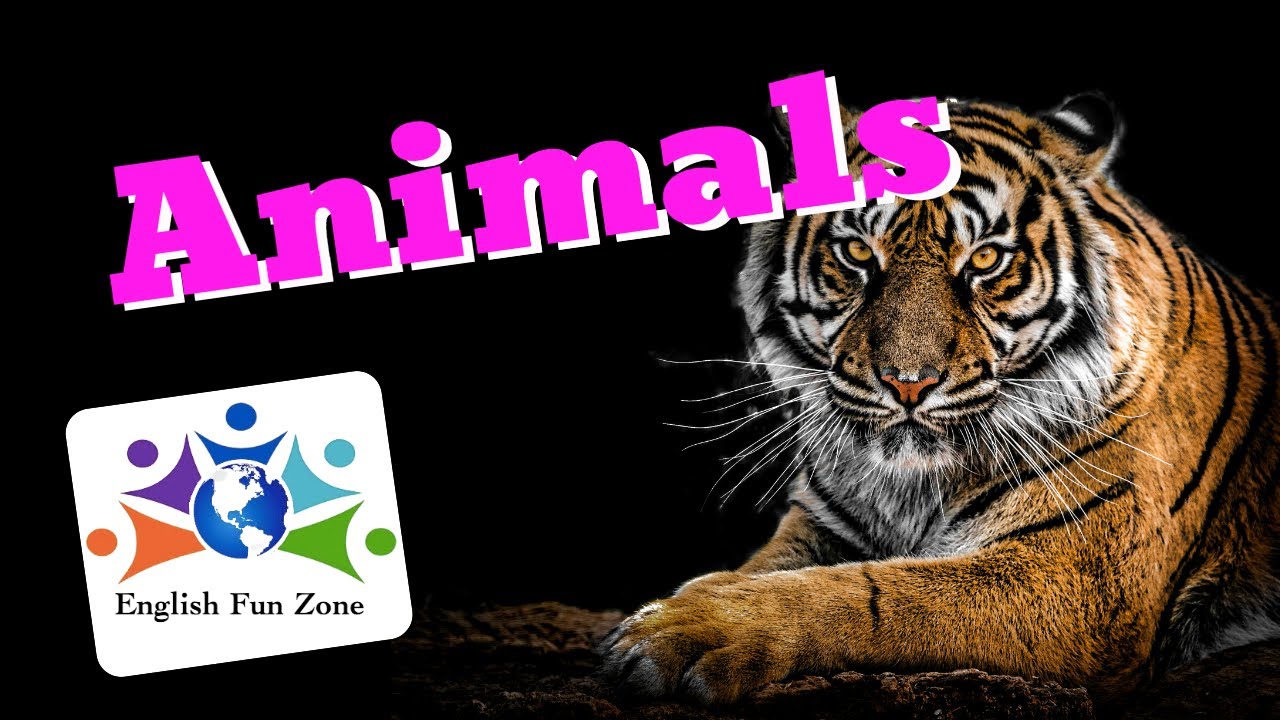 Test Your Pronunciation (Animals)